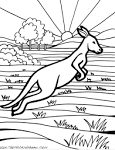 Kangaroo coloring page