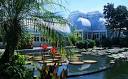 New York Botanical Garden / nycgo.