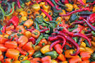 Types of hot peppers