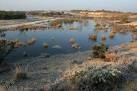 Holmsley Ridge - gravel pit - via Daymix