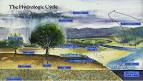 The Hydrologic Cycle