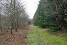The woodland is either Buttocks Bank Wood or Small's Wood, or both, - via Daymix