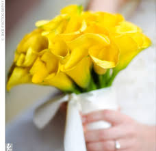 Yellow flowers? :  wedding Images?q=tbn:ANd9GcR5oLANojKNdagxim1X7PgMk7YSENisWvmbbOCzwuOK1IVvr5lA