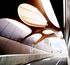 Clem7 Tunnel