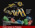 Human Genome Project Science