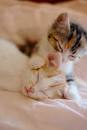 duien& #39;s fav
orite photos a ...