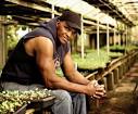 Will Allen talks about growing the 'Good Food' movement | Grist