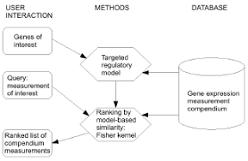 When you use this method, please cite the following paper: Elisabeth Georgii, Jarkko Salojärvi, Mikael Brosché, Jaakko Kangasjärvi, and Samuel Kaski. - figTargetedRetrieval3