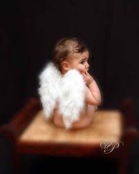 http://t1.gstatic.com/images?q=tbn:ANd9GcR6KZtGvXwVXR6RB9XupHzlZBmg3jjNDNWb1cSWEjC8oph4uOOW&t=1