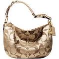 http://4.bp.blogspot.com/_AvpCiMuLK1w/SdltFKnQsQI/AAAAAAAABSo/t3Q0TEt9pK0/s400/12675%2Bgold.jpg