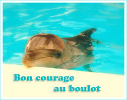 external image images?q=tbn:ANd9GcR6Vl5mXbRAFLy9fZgm7XGFrMJyBwfzlPOIBGzgGhri3ue8ynZq9A