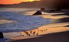 Beaches - Martha's Vineyard Chamber of Commerce - Vineyard Haven ...