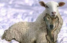 wolf in sheep’s clothing