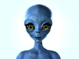 http://t1.gstatic.com/images?q=tbn:ANd9GcR6ntALLJVxsZIwfeEB1EnIECSqVTm0nzk9J4RVBTr5hObuKAGQLr6pPfIUYQ