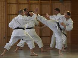 Toribio Osterkamp 2010 in Langenbrettach | Shotokan Karate Dojo ...