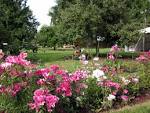 The Rose Garden | steppingstonesgarden.