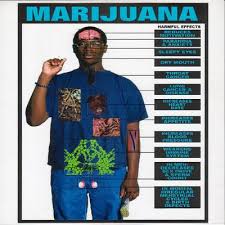 The Effects of Marijuana on Society ― THE HISTORY OF MARIJUANA ABUSE 