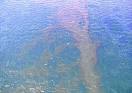 Top 5 Green Ways to Clean Up Oil Spills Inhabitat   Sustainable