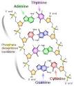 Matter - Wikipedia, the free encyclopedia
