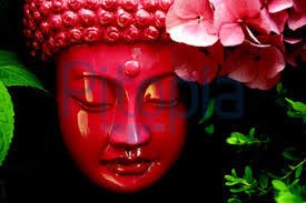 Bildagentur Pitopia - Bilddetails - Buddha (Catrin Cordes) Bild ...