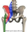 Learn About Hip Flexor Injury - Sports Injury Info