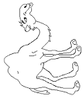 Camel coloring page