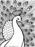 Bird coloring page