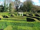 SO5517 : The Amazing Hedge - via Daymix