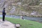 Dog training in Dovedale. This pair of border collies had obviously had a - via Daymix