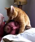 Every Morning, Four Years, and Counting