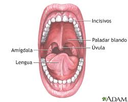 Imagen