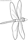 Dragonfly coloring page