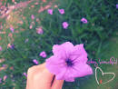 5 Ways to Create Random Acts of Love | Tiny Buddha: Wisdom Quotes ...