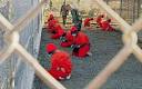 Guantánamo Bay 10-year anniversary: timeline - Telegraph