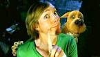 One Scooby Doo Character