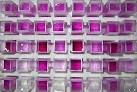 Art of Science Competition / Gallery - Color Patterns of an Iron ...