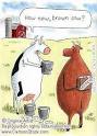 How Now Brown Cow Gifts