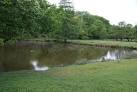 Pond by Ham Gate. Just inside - via Daymix