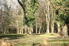 near to Stone-Edge Batch, North Somerset, Great Britain. Lime Breach Wood - via Daymix