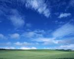Fresh Fields