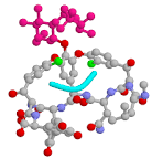 Vancomycin Frameset