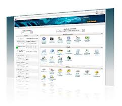 Web Hosting