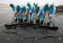  Oil Spill Cleanup   Lessons From the Gulf Oil Spill and 4 Steps For Cleanup & Damage Control