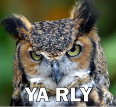 images?q=tbn:ANd9GcRAIQsa7oo_N8a-y0SWkiY5P7PChT7-2bEBQk1L02OVfuwHWz8&t=1&usg=__q_53a-_NcazXYSedss72nUgcjGw=