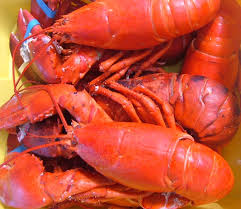 Banh Hoi Tom Hum (Steamed Vermicelli with Lobsters) | blog | visualgui - tomHum