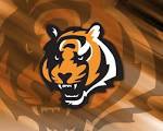 WHO DEY!! - Cincinnati Bengals Wallpaper (9328302) - Fanpop