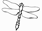 Dragonfly coloring page