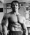Arnold Schwarzenegger Image A Story of Super Hero Arnold Schwarzenegger | Topin24 Picture 4