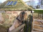 at Hazlehead Pets Corner - via Daymix