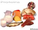 <b>Proteins</b>